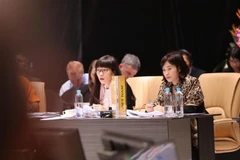 Đoàn đại biểu Việt Nam tham dự hội nghị. (Ảnh: TTXVN phát)