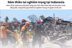 [Infographics] Một năm thiên tai nghiêm trọng tại Indonesia
