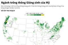 [Infographics] Ngành trồng thông Giáng sinh của Mỹ