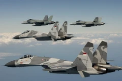 Máy bay chiến đấu của không quân Indonesia. Ảnh minh họa. (Nguồn: defence.pk)