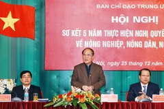 Chủ tịch Quốc hội Nguyễn Sinh Hùng phát biểu tại hội nghị sơ kết 5 năm thực hiện Nghị quyết Trung ương 7 (khóa X). (Ảnh: Nguyễn Dân/TTXVN)
