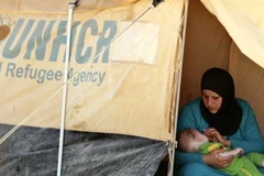 LHQ lập cầu hàng không đưa hàng viện trợ từ Iraq tới Syria 