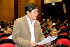 Đại biểu Quốc hội thành phố Hà Nội Đào Văn Bình phát biểu ý kiến. (Ảnh: Phương Hoa/TTXVN)