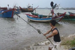 Ảnh minh họa. (Nguồn: TTXVN)