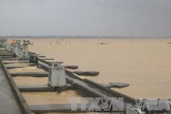 Ảnh minh họa. (Nguồn: TTXVN)