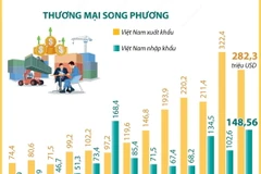 Quan hệ hữu nghị truyền thống bền chặt giữa Việt Nam và Romania 