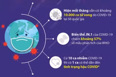 WHO: 10.000 ca tử vong do COVID-19 mỗi tháng trên thế giới