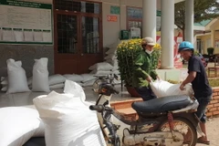 Xuất cấp gạo cho người dân. Ảnh minh họa. (Ảnh: TTXVN phát)