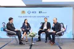 Các chuyên gia đã chia sẻ những khó khăn và giải pháp để giúp các doanh nghiệp, tổ chức tại Việt Nam thực thi hiệu quả Nghị định 13. (Ảnh: Minh Sơn/Vietnam+)