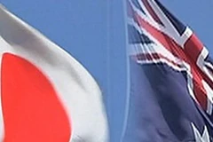 (Ảnh: houseofjapan.com)