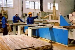 (Ảnh minh họa: TTXVN)