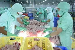 Chế biến cá tra xuất khẩu. (Ảnh: TTXVN)