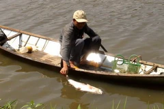 (Nguồn: Tuổi trẻ)