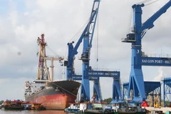 (Ảnh: Hoàng Tuấn/Vietnam+)