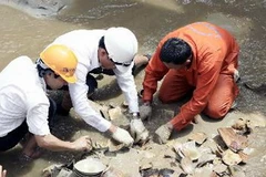 Cổ vật được khai quật từ con tàu bị đắm. (Ảnh: Thanh Long/TTXVN)