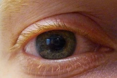 (Ảnh: sciencedaily.com)