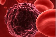 (Ảnh: telegraph.co.uk)