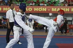 (Ảnh minh họa: TTXVN)