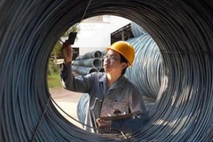 (Nguồn: thestar.com.my)