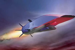 (Ảnh: stuff.co.nz)