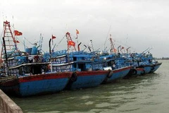 Ảnh minh họa. (Nguồn: TTXVN)