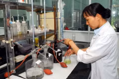 Nhân viên nhà máy nước Tân Hiệp thuộc Sawaco kiểm tra độ mặn của nước tại phòng thí nghiệm. (Ảnh: Mạnh Linh/TTXVN)