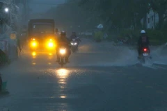 (Ảnh minh họa: Duy Khương/TTXVN)