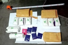 (Ảnh minh họa: TTXVN phát)