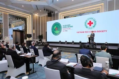 Phó Thủ tướng Chính phủ Trần Lưu Quang phát biểu. (Ảnh: Thanh Tùng/TTXVN)