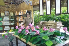 Các sản phẩm từ sen được trưng bày tại Công ty Cổ phần sản xuất, xuất nhập khẩu và thương mại dịch vụ Hali (Ninh Bình). (Ảnh: Thùy Dung/TTXVN)