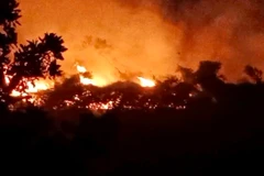 (Ảnh minh họa: TTXVN phát)