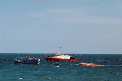 (Ảnh minh họa: TTXVN phát)