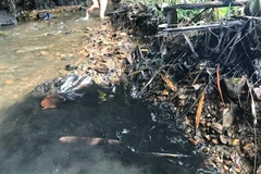 (Ảnh: Minh Sơn/Vietnam+) 