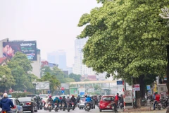 Giữa tiết trời se se lạnh cuối thu, Thủ đô trở nên dịu dàng, lãng mạn với hương hoa sữa thoảng bay trong gió, lan tỏa vào tiềm thức mỗi người. (Ảnh: Vietnam+)