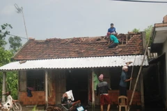 Ảnh chỉ có tính minh họa. (Ảnh: Thanh Thủy/TTXVN)