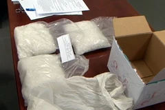 Ảnh chỉ có tính minh họa. (Ảnh: Việt Hùng/TTXVN)