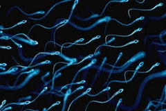 (Ảnh chỉ có tính minh họa. (Nguồn: womenshealthmag.com)