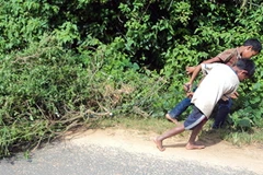 Xuất hiện thương lái Trung Quốc thu mua cây cỏ xước tại Kon Tum