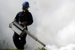 Nhân viên y tế phun thuốc khử trùng nhằm ngăn chặn sự lây lan của virus Zika. (Nguồn: EPA/TTXVN)