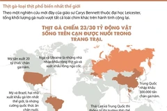 [Infographics] Thịt gà - loại thịt phổ biến nhất trên thế giới