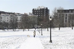 Ảnh chỉ có tính minh họa. (Nguồn: THX/TTXVN)