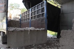 Hiện trường đổ trái phép chất thải. (Ảnh: Nguyễn Văn Việt/TTXVN)