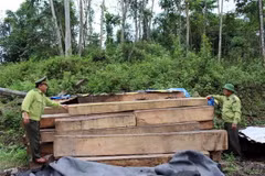 Ảnh chỉ có tính minh họa. (Ảnh: Đỗ Trưởng/TTXVN)