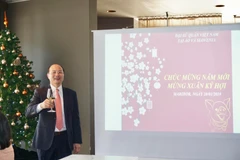 Đại sứ Lê Dũng phát biểu tại buổi gặp mặt. (Nguồn: Vietnam+)