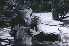 [Video] Chú chó giống Inu Shiba có phù hợp để đóng vai Cậu Vàng? 