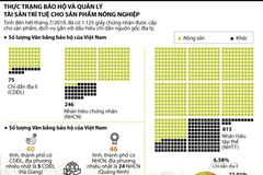 Thực trạng bảo hộ và quản lý tài sản trí tuệ cho sản phẩm nông nghiệp