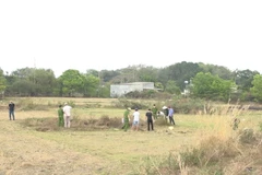 Bình Phước: Điều tra vụ người đàn ông bán vé số tử vong dưới ruộng