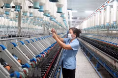 'Tháo gỡ vướng mắc trong cổ phần hóa các doanh nghiệp nhà nước'