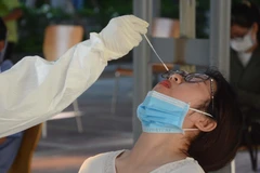 Lấy mẫu xét nghiệm SARS-CoV-2. (Ảnh: Văn Dũng/TTXVN)