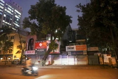 Khu vực 25D Cát Linh (quận Đống Đa, Hà Nội) thuộc quản lý của Tổng Công ty Chè Việt Nam. (Ảnh: Tuấn Đức/TTXVN)